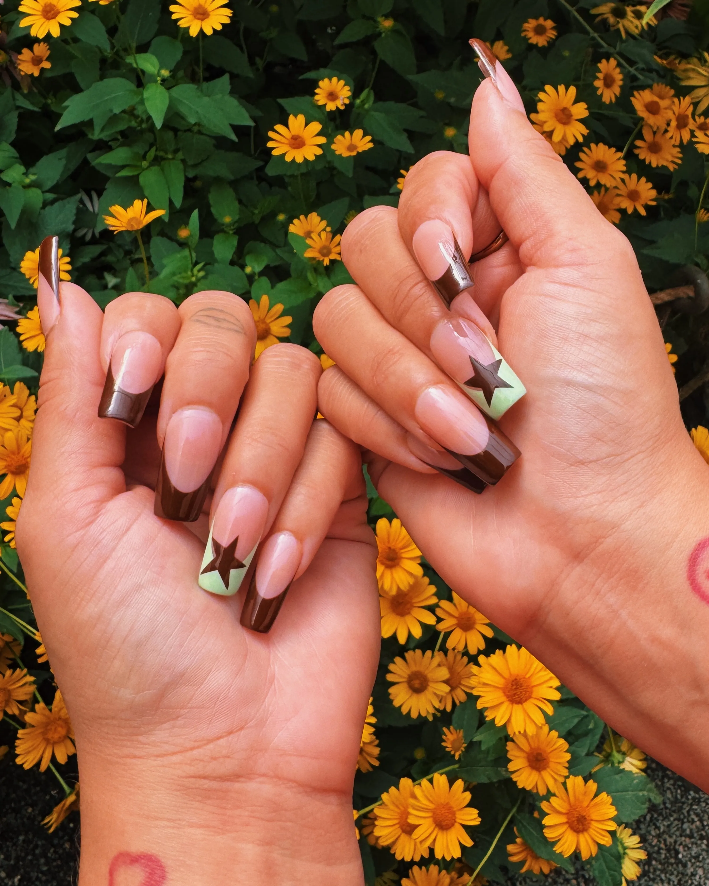 Long square nails with chocolate brown tips and pale star accents