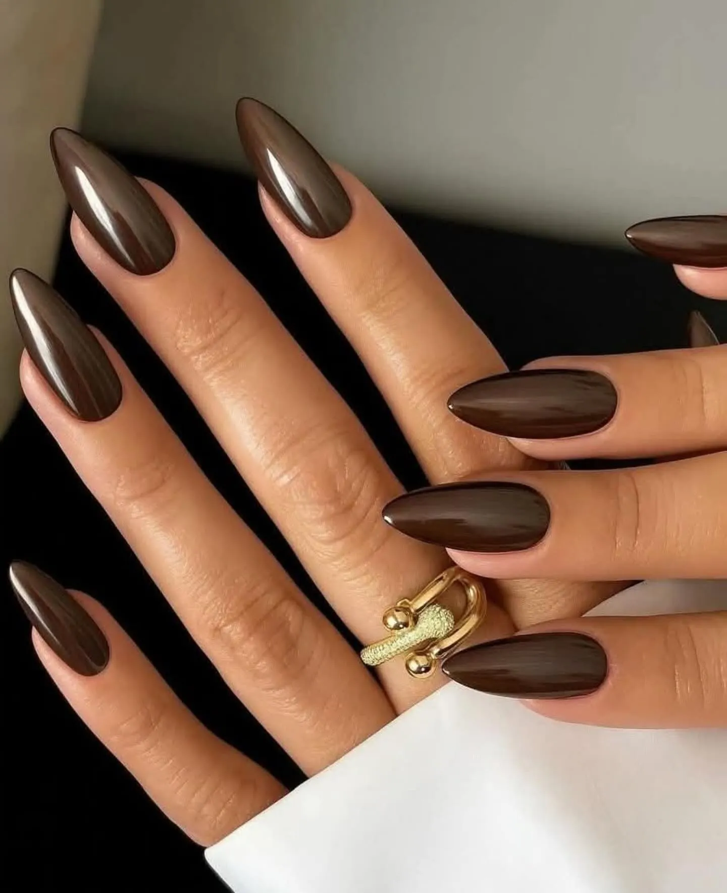 velvety matte brown chocolate brown manicure