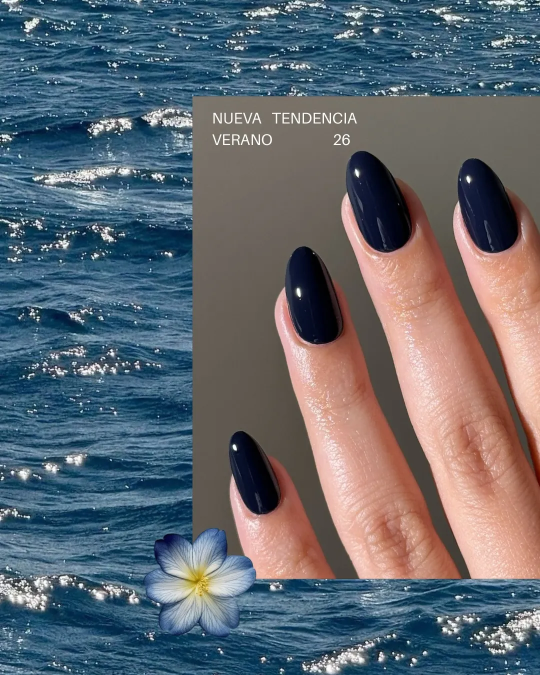 minimal navy almonds manicure
